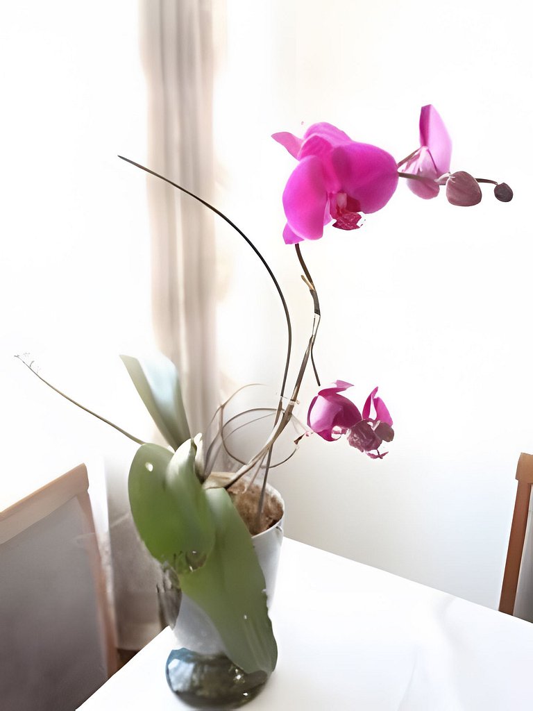 4. Excelente apartamento para famílias